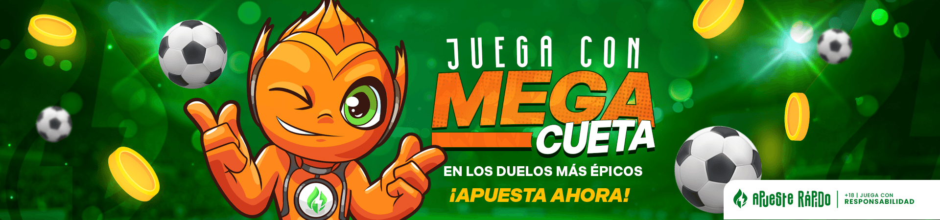 banner for promotion
